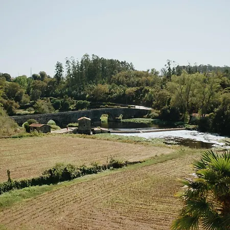 Casa Do Ave Wedding Dressing