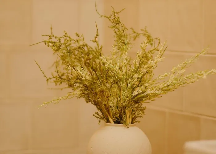 Casa Do Ave Wedding Dressing Vila do Conde